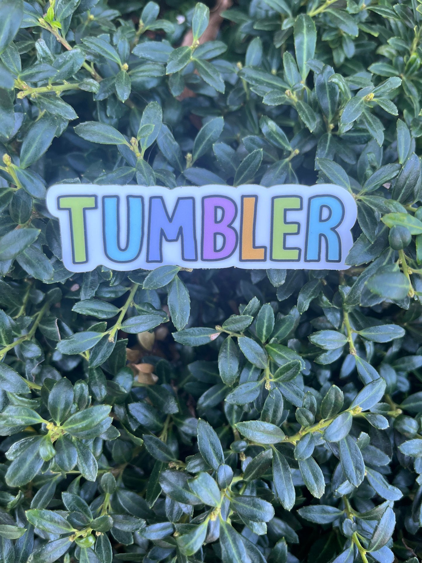 cheer sticker | cheerleading stickers|cheer sticker pack | cheer decal | cheer gift | flyer sticker | base sticker | competition gift