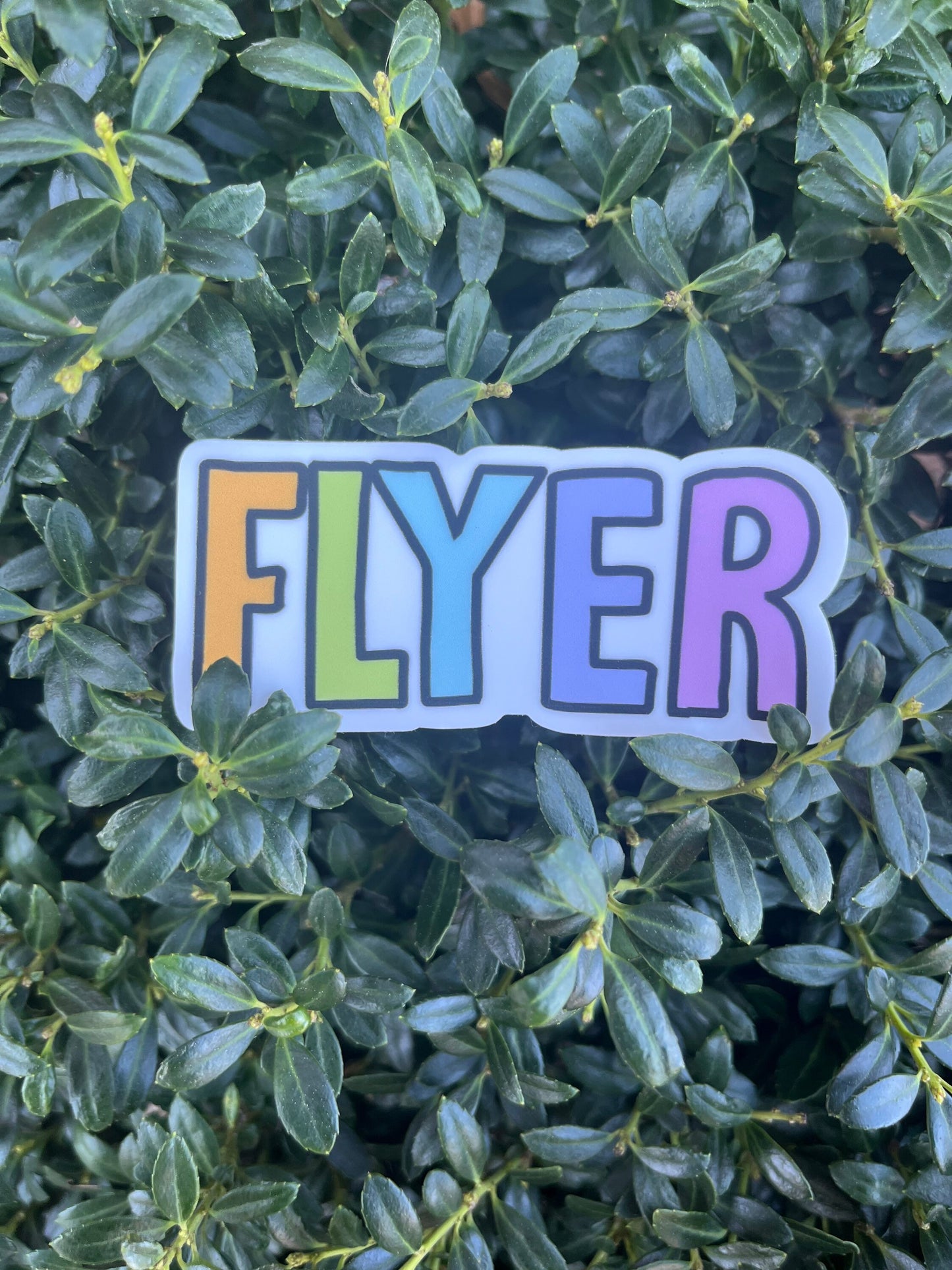 cheer sticker | cheerleading stickers|cheer sticker pack | cheer decal | cheer gift | flyer sticker | base sticker | competition gift