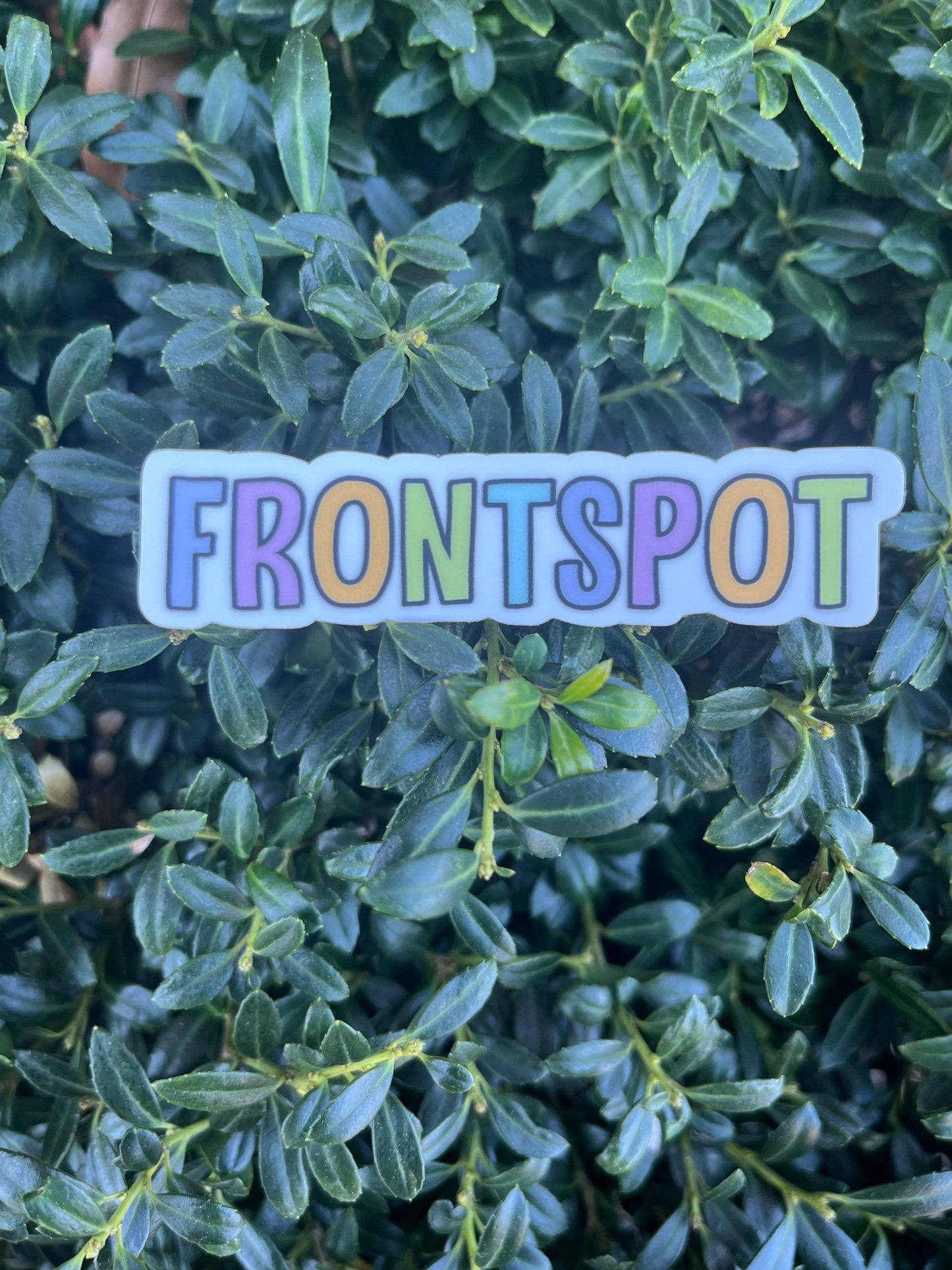 cheer sticker | cheerleading stickers|cheer sticker pack | cheer decal | cheer gift | flyer sticker | base sticker | competition gift